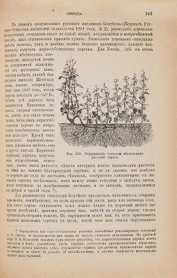 Руководство к плодоводству для практиков по Гоше. СПб.: А.Ф. Девриен, 1899-1900.